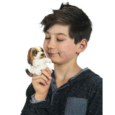 Garçon jouant avec arionnette à doigt mini chien signée Folkmanis Garçon jouant avec arionnette à doigt mini chien signée Folkmanis