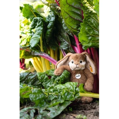 Peluche Lapin Bommel brun - 28 cm signée Steiff dans le jardin Peluche Lapin Bommel brun - 28 cm signée Steiff dans le jardin
