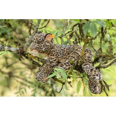 Peluche léopard Parddy - 36 cm signée Steiff sur une branche