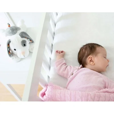 Peluche sonore à bruit blanc Dex le chien signée Zazu posé sur une table Peluche sonore à bruit blanc Dex le chien signée Zazu posé sur une table