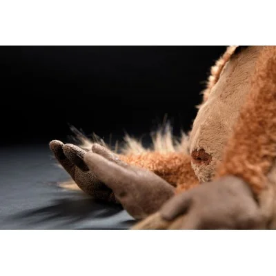 Peluche singe "Mon Key" de la collection BEASTS de la marque Sigikid, gros plan sur les pattes Peluche singe "Mon Key" de la collection BEASTS de la marque Sigikid, gros plan sur les pattes