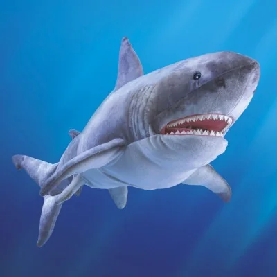 Marionnette à main requin blanc signée Folkmanis dans l'océan