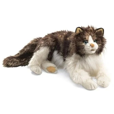 Jeune fille avec Marionnette à main Chat Ragdoll dans les bras