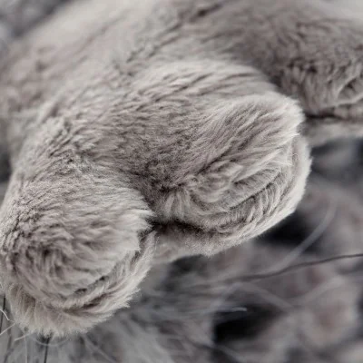 Peluche souris "Lala Langweile" signée Sigikid, gros plan sur une patte Peluche souris "Lala Langweile" signée Sigikid, gros plan sur une patte