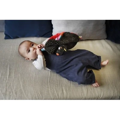 Bébé jouant avec Doudou musical Chaperon / Louloup signé Ebulobo Bébé jouant avec Doudou musical Chaperon / Louloup signé Ebulobo