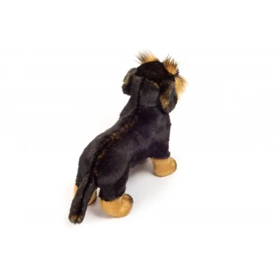 Peluche teckel à poil dur - 28 cm signée Teddy Hermann, vue de dos Peluche teckel à poil dur - 28 cm signée Teddy Hermann, vue de dos