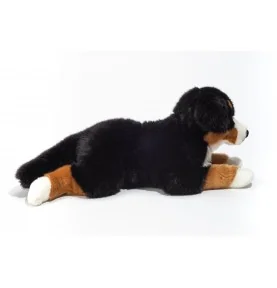 Peluche chien bouvier bernois couché - 60 cm signée Teddy Hermann, vue de profil Peluche chien bouvier bernois couché - 60 cm signée Teddy Hermann, vue de profil