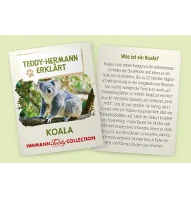 Sur son étiquette, sont racontées des choses intéressantes, amusantes et passionnantes sur le monde des koalas (en allemand)