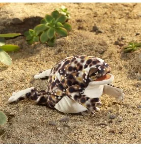 Marionnette grenouille des pluies du désert signée Folkmanis, dans le sable du sésert Marionnette grenouille des pluies du désert signée Folkmanis, dans le sable du sésert