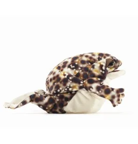Marionnette grenouille des pluies du désert signée Folkmanis, vue de profil Marionnette grenouille des pluies du désert signée Folkmanis, vue de profil