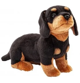 Peluche teckel - 27 cm signée Uni-Toys