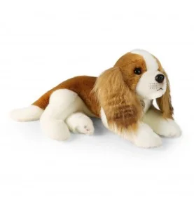 Peluche Cavalier King Charles - 40 cm