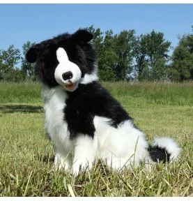 Peluche Border Collie - 40 cm, dans la nature