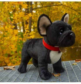 Peluche bouledogue français - 30 cm, sur une table Peluche bouledogue français - 30 cm, sur une table
