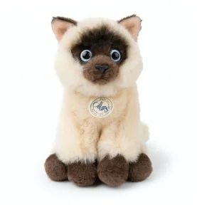 Peluche chat siamois Eddie en boîte cadeau - 17 cm, vue de face