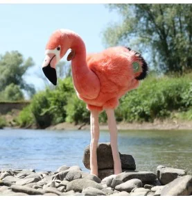 Peluche flamant rose - 46 cm signée Rappa, dans la nature