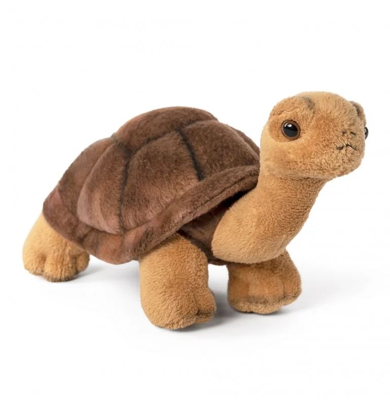 Peluche tortue - 20 cm signée Living Nature Peluche tortue - 20 cm signée Living Nature