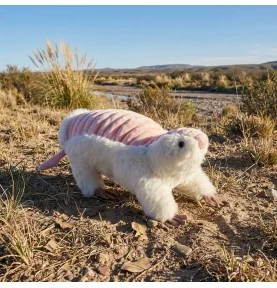 Marionnette tatou nain d'Argentine dans un environnement naturel