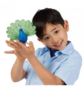 Garçon jouant avec marionnette mini paon signée Folkmanis Garçon jouant avec marionnette mini paon signée Folkmanis