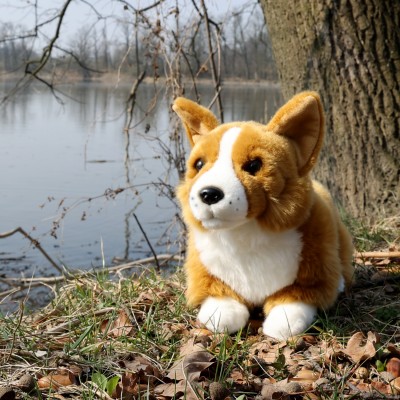 Peluche chien Corgi - 32 cm signée Rappa, dans la nature Peluche chien Corgi - 32 cm signée Rappa, dans la nature