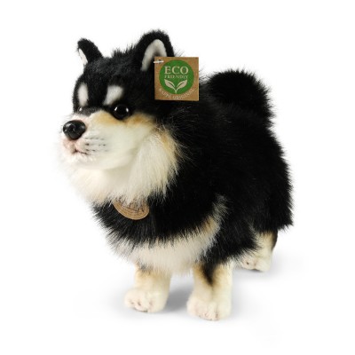 Peluche Chien Finnois de Laponie (Lapinkoira) - 33 cm signée RAPPA