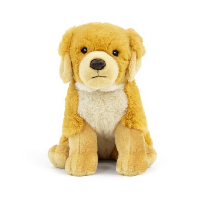 Peluche Golden Retriever - 30 cm signée Living Nature, vue de face